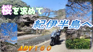 【HONDA　ADV160】桜を求めて　紀伊半島へ