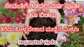 ಸೇವಂತಿಗೆ ಗಿಡದ requested viedo#bkworldcoorg#gardening#tips#