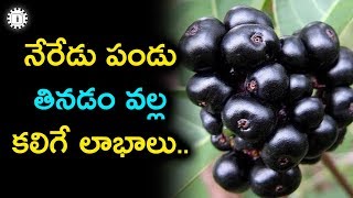 నేరేడు పండు తినడం వల్ల కలిగే లాభాలు..! | Health benefits of Black Jamun (Nerudu Pandu)