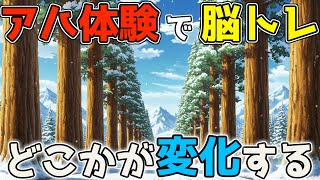 【脳トレ】冬のメタセコイア並木で変化しているのはどこ？アハ体験