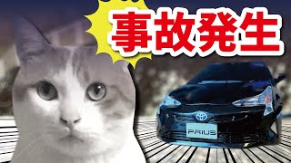 【悲報】先住猫、車に轢かれる【おしゃべりする猫】 【猫アテレコ】