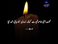 Urdu Quotes Mahira Khan Hira Mani Golden Words Ali zafar 10(5)