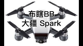 【阿布垃机手册】【布瞎BB】大疆DJI Spark 晓