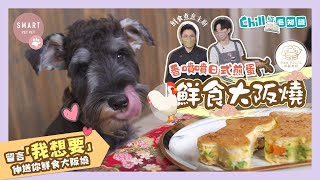 【Chill住食Chill住玩｜奴才教煮】香噴噴日式煎蛋   《鮮食大阪燒》