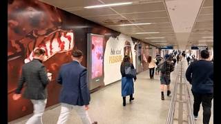 Magnum Ad Controversy: The Nausea-Inducing Chocolate Smell That Divided Opinions