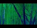 (LIVE) Brahms Requiem Trinity Church NYC | March 11 2026