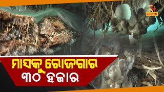 Jajpur Youth Scripts Success Story In Mushroom Cultivation | NandighoshaTV