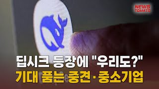 딥시크에 기대 품는 중견·중소기업 [말하는 기자들_테크지식산업_0131]