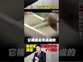 外星人在我面前墜落！他解剖驚嘆：組織如絲瓜 @ebcapocalypse shorts