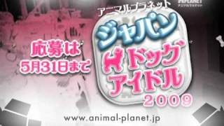 ジャパン・ドッグアイドル 2009募集告知