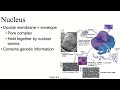 csulb biol 212 spring 2025 week 4 lecture 2