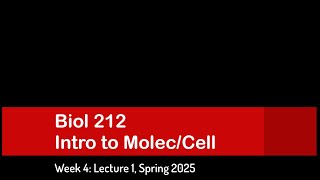 CSULB: Biol 212 Spring 2025 - Week 4 Lecture 2