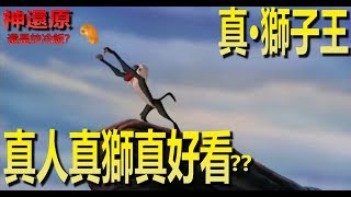 真·獅子王2019之真人真獅版真好看嗎??|Lion King|Live Action|解析|電影看什麼