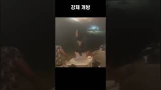 아침이 밝았습니다