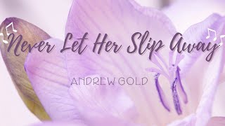 Never Let Her Slip Away - Andrew Gold
