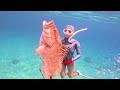 huge fish in shallow water bahamas spearfishing is the best