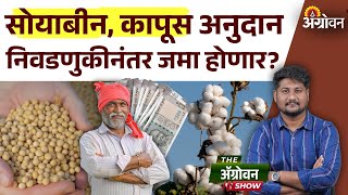 Soybean Cotton Anudan : सोयाबीन कापूस अनुदानापासून अजूनही २४ लाख शेतकरी वंचित! | Agrowon