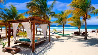 Tropical Seaside Cafe Ambience with Smooth Bossa Nova Intrumental Music & Ocean Waves for Relax