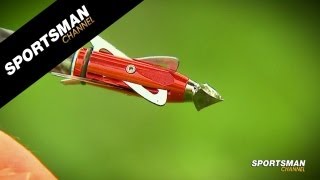 Mechanical Broadheads Flight Patterns - Tech Talk