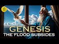 Genesis 8: The Flood Subsides 🕊️ (MOVIE) | Dramatized and Animated Bible | ESV 📖