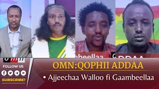 OMN:QOPHII ADDAA - Ajjeechaa Walloo fi Gaambeellaa (Waxabajii 20,2022)