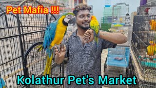 Kolathur Chennai Pet's Market/ all pets available in one shop/ Pet Mafia exotic pets shop