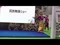 マレーシアの民族舞踊ショー（その３） ツーリズムexpoジャパン２０１９