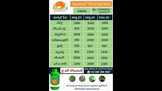 నేటి టమాట మార్కెట్ ధరలు II Today Tomato  Market Rates Telangana II