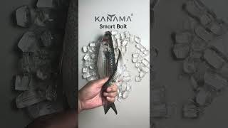 🎣 Kanama Smart Bait - Revive dead bait fish.