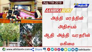 அத்தி மரத்தின் அதிசயம் ஆதி அத்தி வரதரின் மகிமை