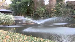 [ZR-850]川口グリーンセンター 白鳥の池の噴水[Full HD] -The fountain in the Swan Pond, Kawaguchi Green Center-