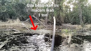 SUNGGUH......sangat gila ikan biawan ini macam narik ikan 1 ton.........!!!!!!!!!!!!