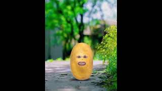 सबसे बड़ा सदमा comedy 👈😂 funnyaalu comedyvideos comedy