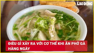 Điều gì xảy ra với cơ thể khi ăn phở gà hàng ngày | Báo Lao Động