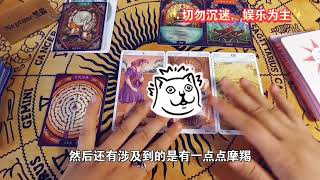 黑猫，【💓选项向】Ta对你的承诺是真的吗✨粉丝投稿三方关系限定