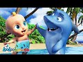 Bayi Hiu  | Baby Shark duu duu - Lagu Anak Anak | LooLoo Indonesia