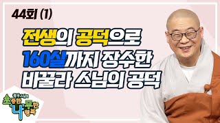 선업의 힘으로 수명장수를 얻다(1) [BTN불교TV 광우스님의 소나무 44회]