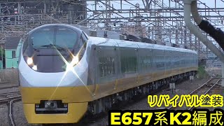 【第3弾を導入!!】『常磐線特急ときわ76号』我孫子駅5番線を高速で通過するシーン