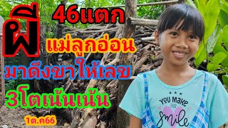 46แตกผีแม่ลูกอ่อนมาดึงขาให้เลข3โตเน้นเน้น1ต.ค66