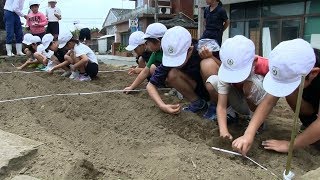 種子島の学校活動：現和小学校3・4年生落花生種植え体験2018年