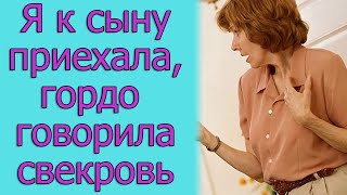 Я к сыну приехала, гордо говорила свекровь. Истории из жизни