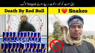 Most Stupid People In The History Of Mankind | Haider Tv
