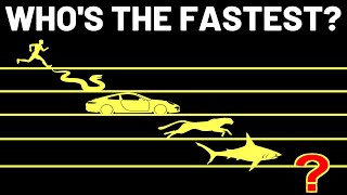 These Are The Fastest Living Creatures On Earth