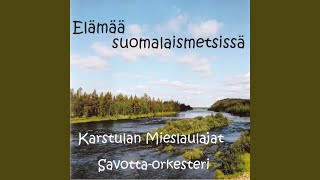 Metsämiehen laulu