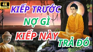 Chuyện Phật Giáo Nhân Quả OAN NGHIỆP ĐỜI TRƯỚC KIẾP NÀY PHẢI TRẢ | CUỘC SỐNG SUY NGẪM