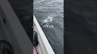 タモ入れ遅いからバラしたよ