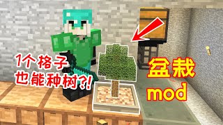 【小毅】石頭工毅19：只要1格空間就能種樹，這個盆栽mod真的很方便！