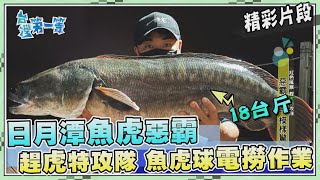 台灣第一等【日月潭魚虎特攻隊 活餌誘釣18台斤惡霸 \u0026 電撈魚球作業】_471集精選版