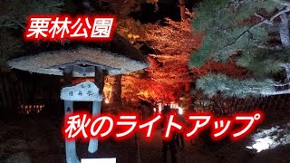 栗林公園秋のライトアップ