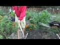 how to set up core garden bed core gardening method